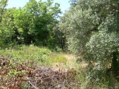 terreno in vendita in molise