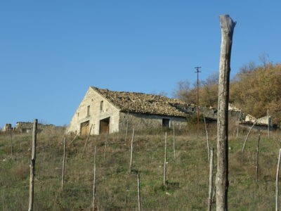 Casolari di campagna in Molise