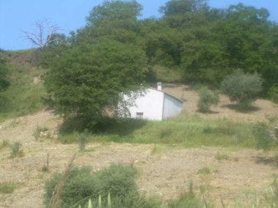 Casa sul lago in vendita